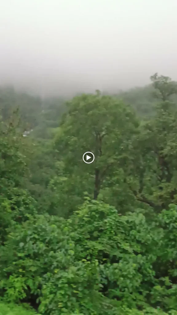 Bhimashankar trek via Ganesh Ghat with Trek & Travel With Sakhi