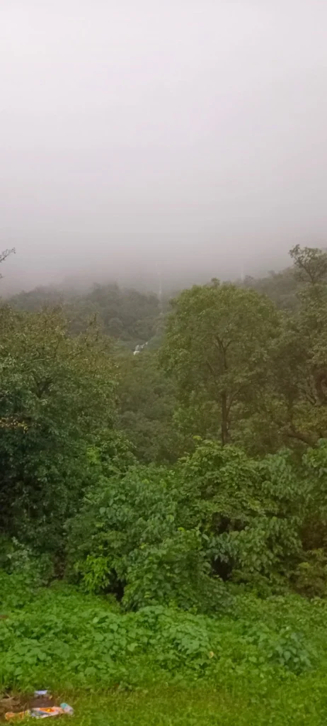 Bhimashankar trek via Ganesh Ghat with Trek & Travel With Sakhi