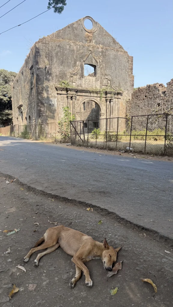 Vasai fort (Bassein) heritage walk with Trek & Travel With Sakhi