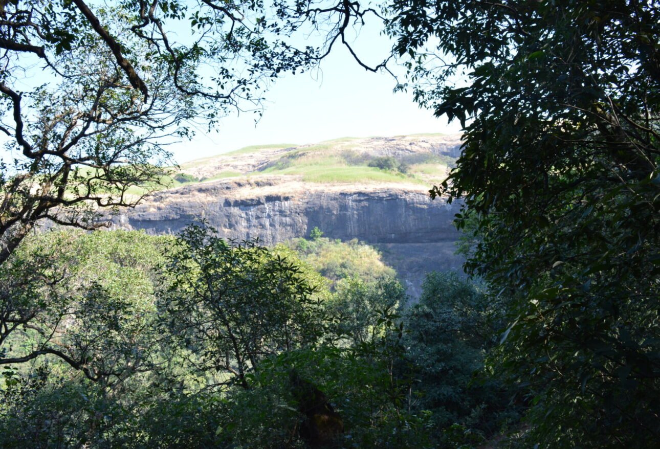 Landscape around Harishchandragad plateau