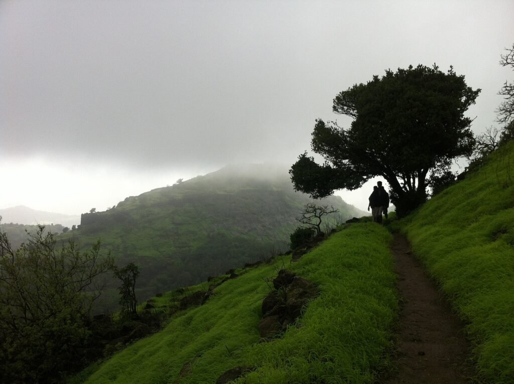 Hikers walking a green grassy trail towards the forts of Rajmachi in the monsoon