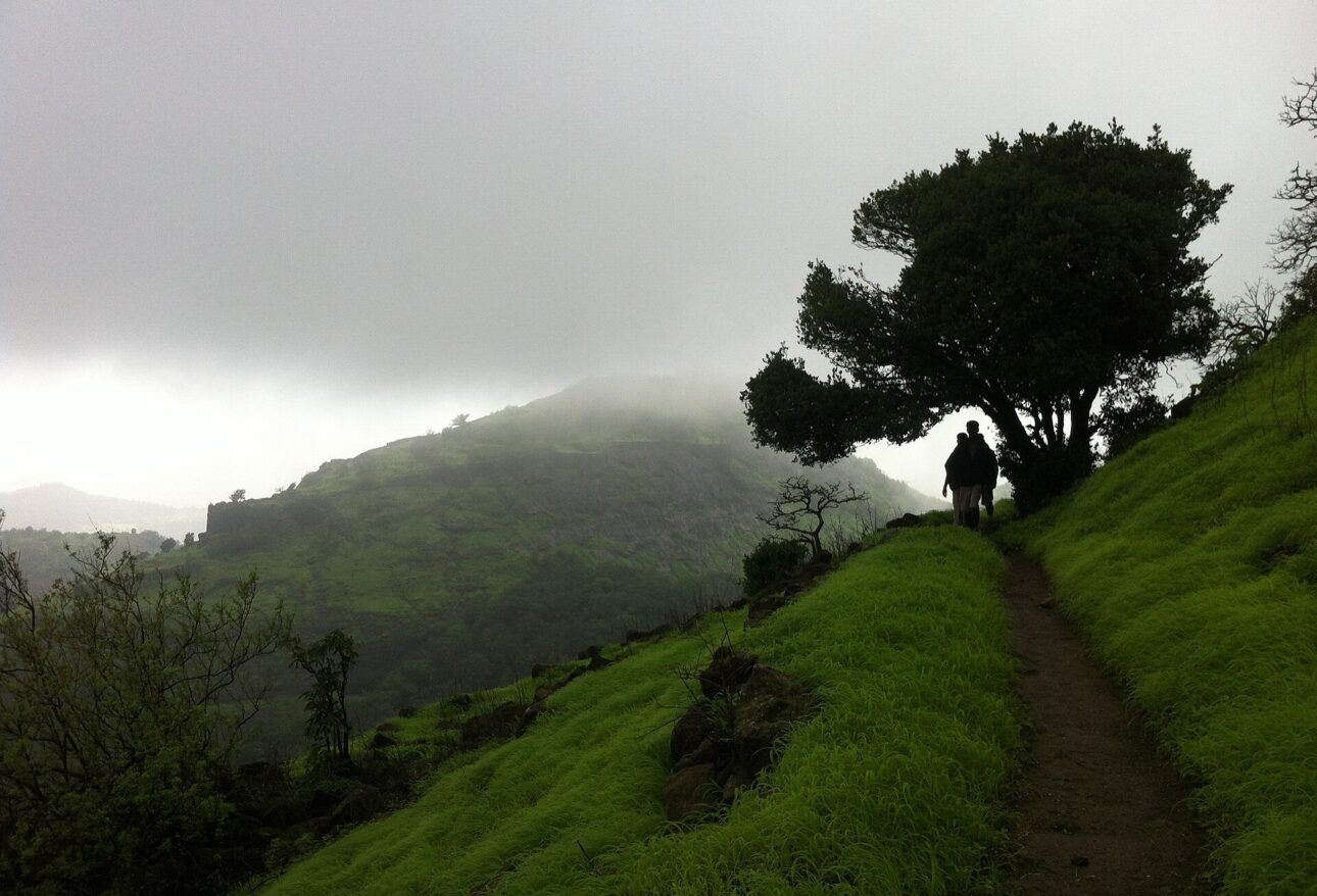 Hikers walking a green grassy trail towards the forts of Rajmachi in the monsoon