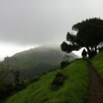 Hikers walking a green grassy trail towards the forts of Rajmachi in the monsoon