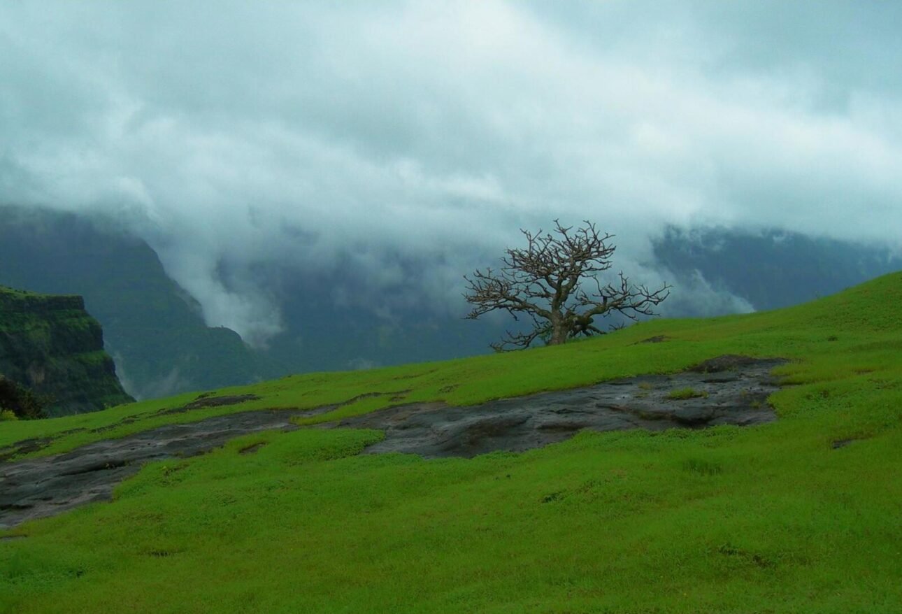 Green plateau and misty cliffs at Naneghat in the Western Ghats