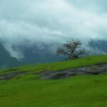 Green plateau and misty cliffs at Naneghat in the Western Ghats