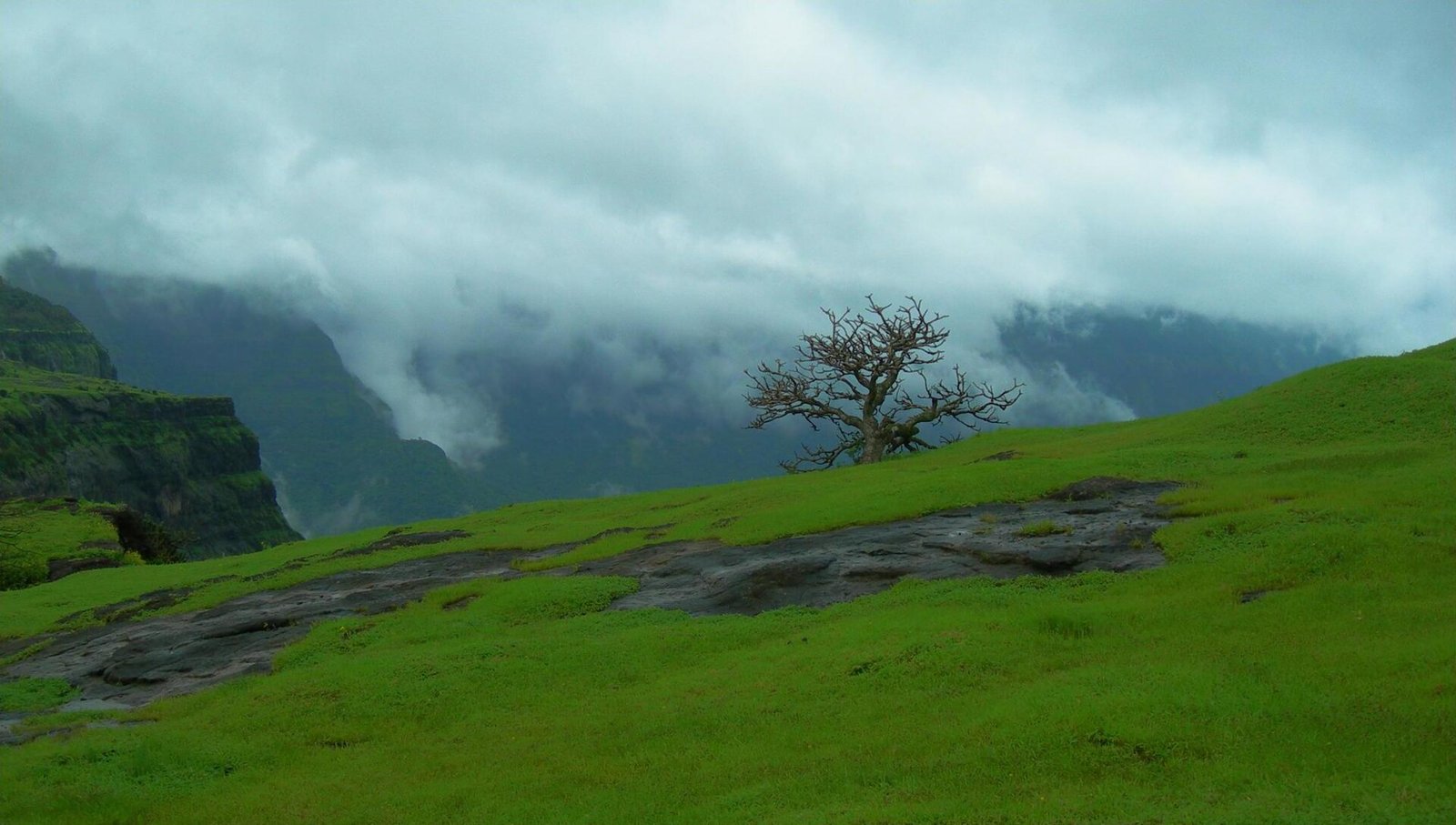 Green plateau and misty cliffs at Naneghat in the Western Ghats