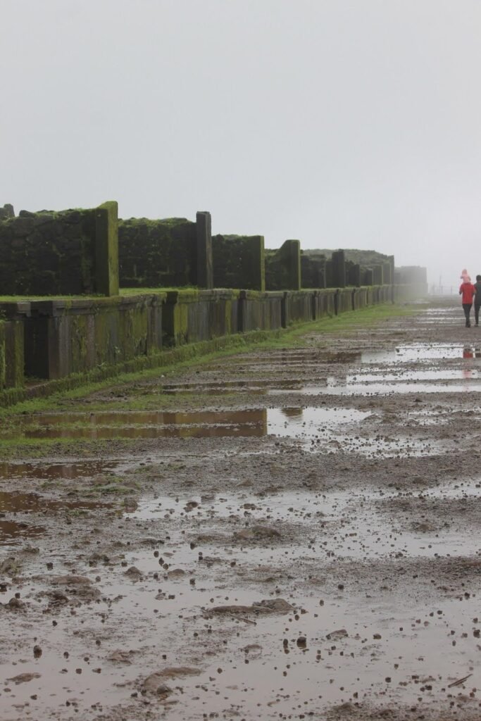 Ruins of the old market street (Bazaar Peth) on Raigad Fort