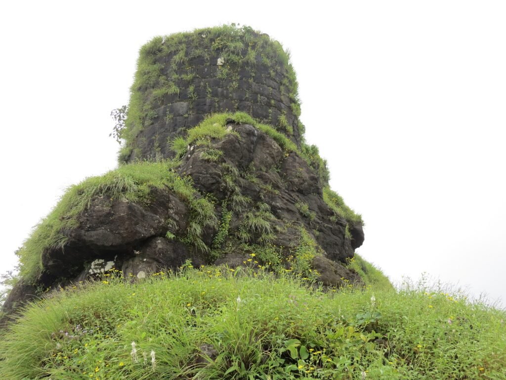 Stone bastion on Rajmachi fort covered in monsoon grass